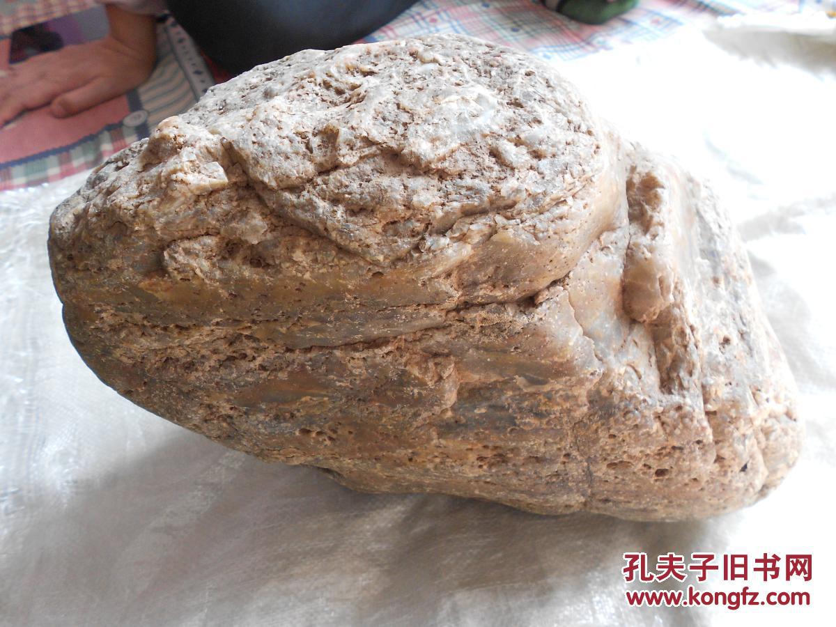 水冲树化玉原石约15.5公斤多色