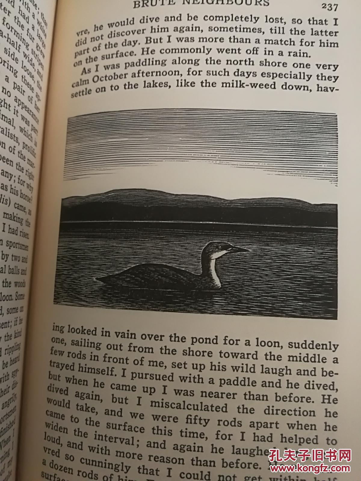 walden(梭罗《瓦尔登湖》,thomas w.