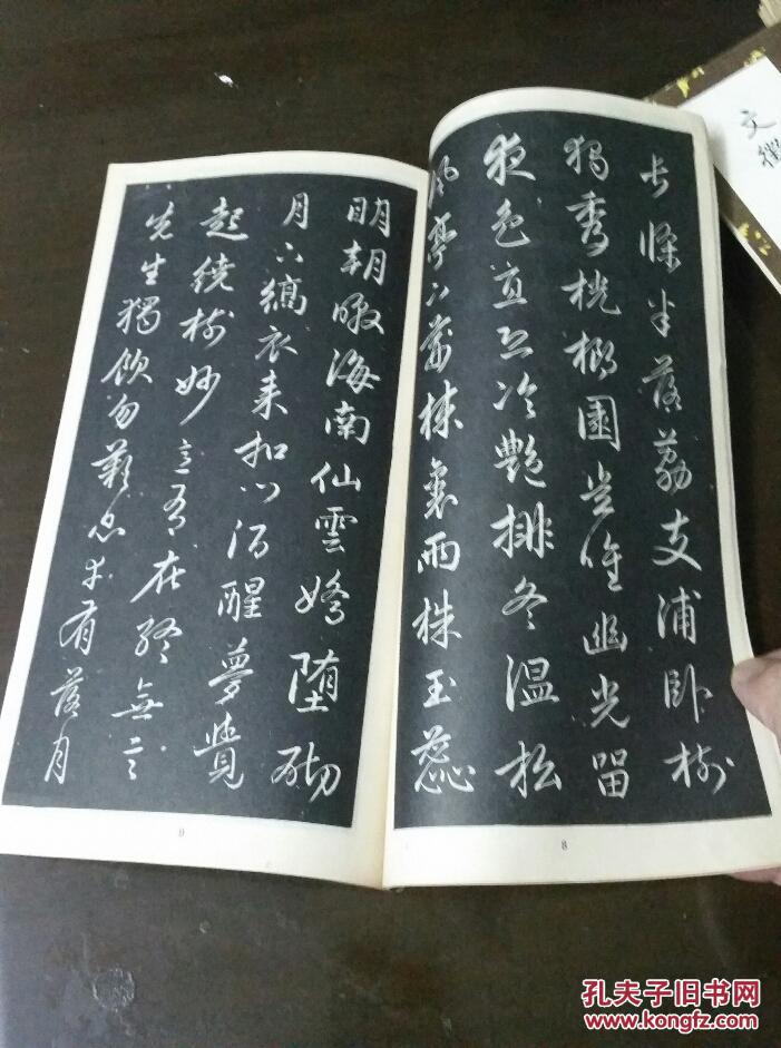 品佳:赵孟頫行书梅花诗