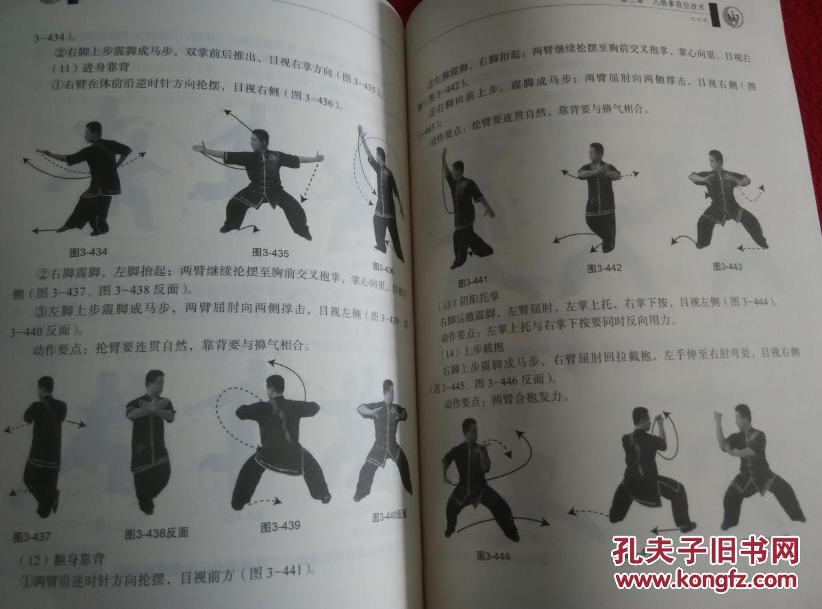 八极拳短棍段位制实用教程实物拍照按图发货正版原版一版一印