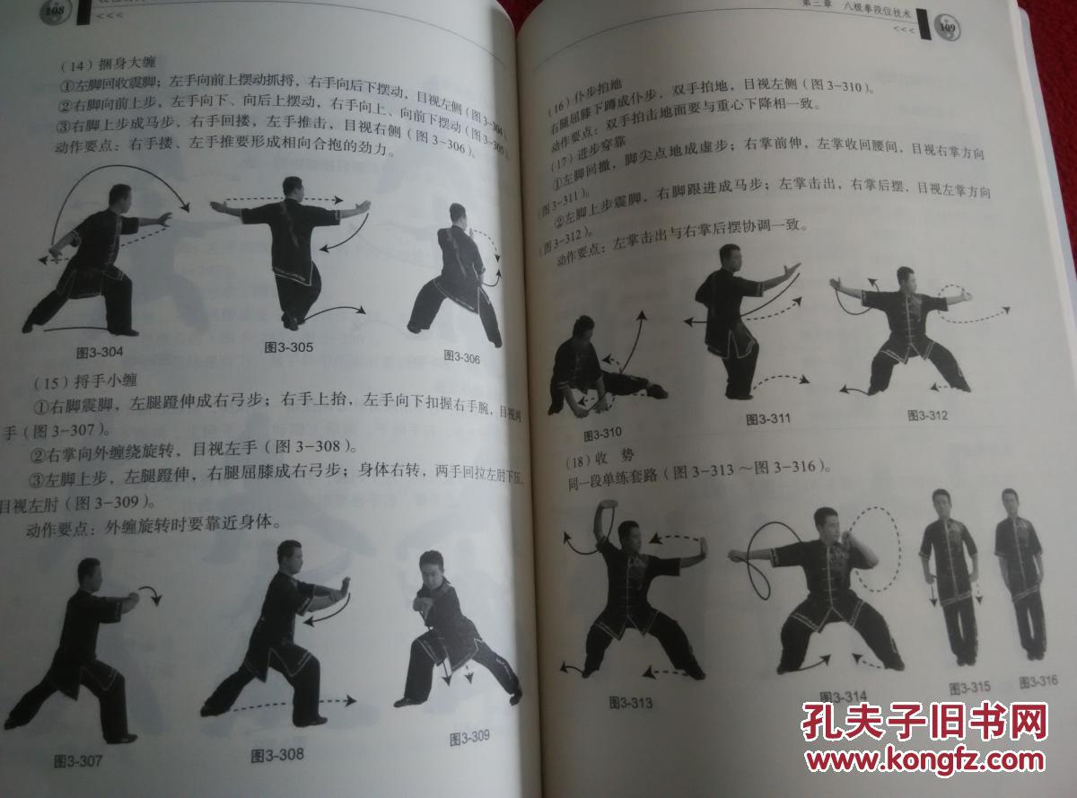 八极拳短棍段位制实用教程实物拍照按图发货正版原版一版一印
