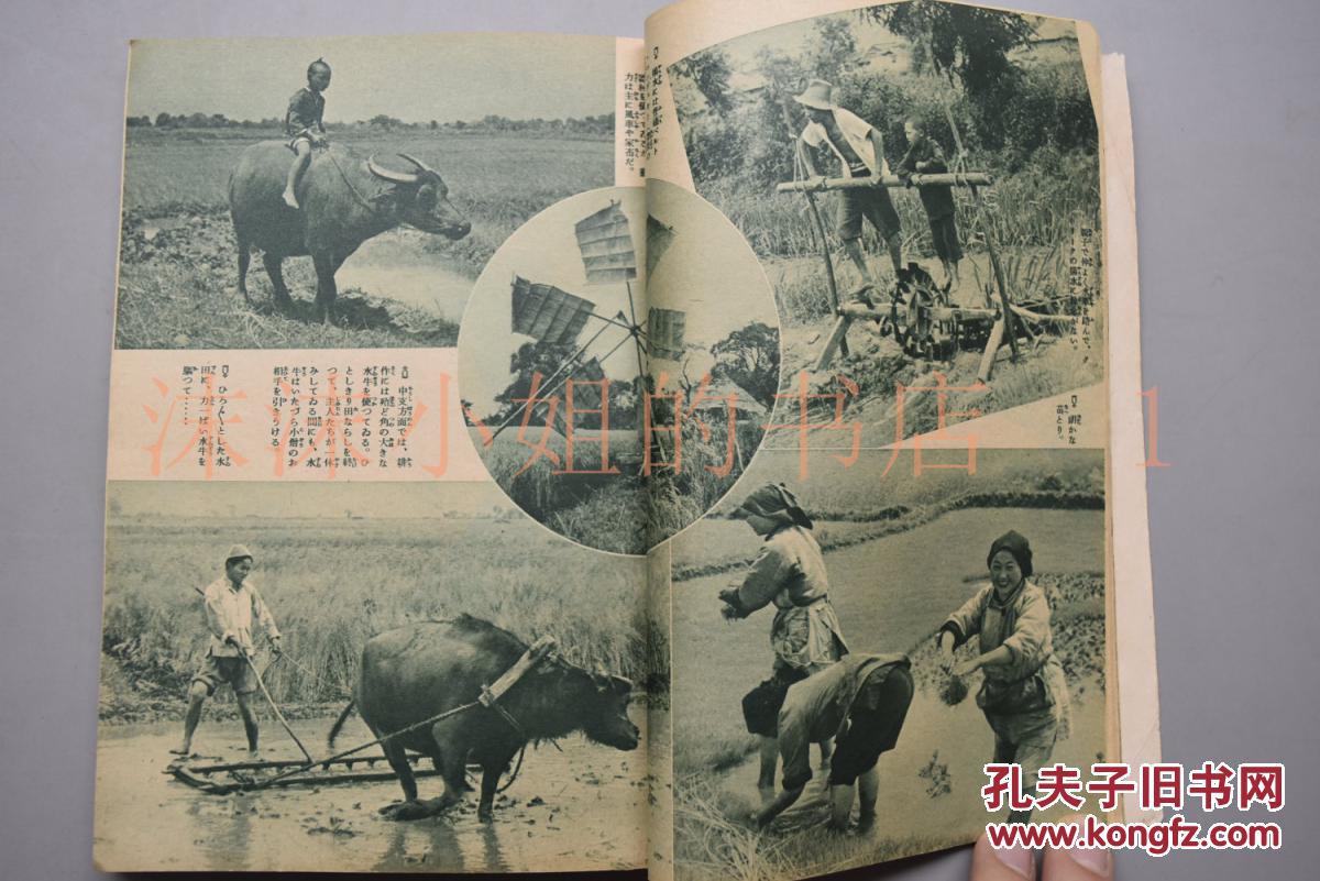 二战时期中国一共有多少人口_中国一共有多少种旗帜(3)