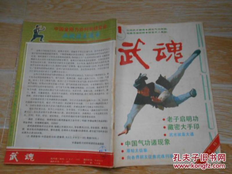 【华夏启明功、大手印功法(一)、访武当道教武