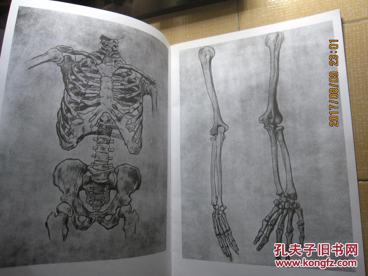 艺用人体解剖美术院校素描教学示范系列一版2印8开