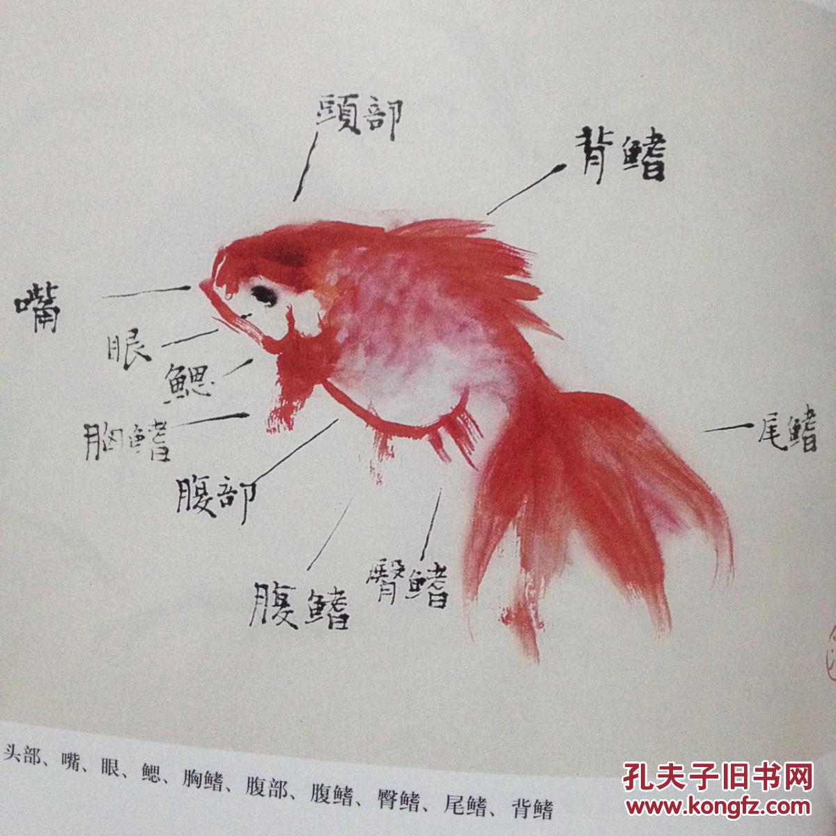 大全_简笔画金鱼的画法_幼儿园的画画鱼的图片_美术画鱼的图片大全
