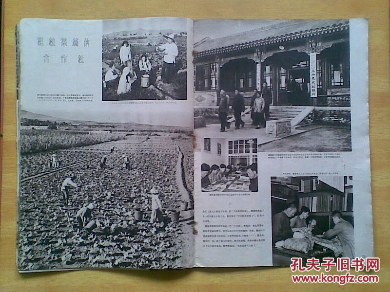 人民画报 (1953年10月号)_人民画报社_孔夫子旧书网