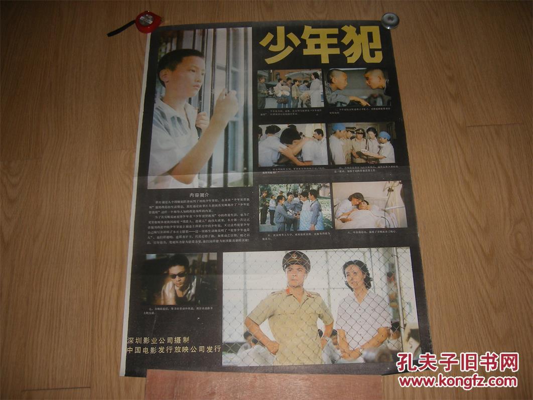 电影海报《少年犯》1张