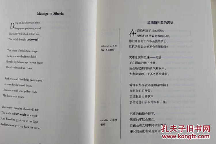 英汉对照 世界名著 双语版 中英文 读名著学英语 普希金 著( 外国诗歌