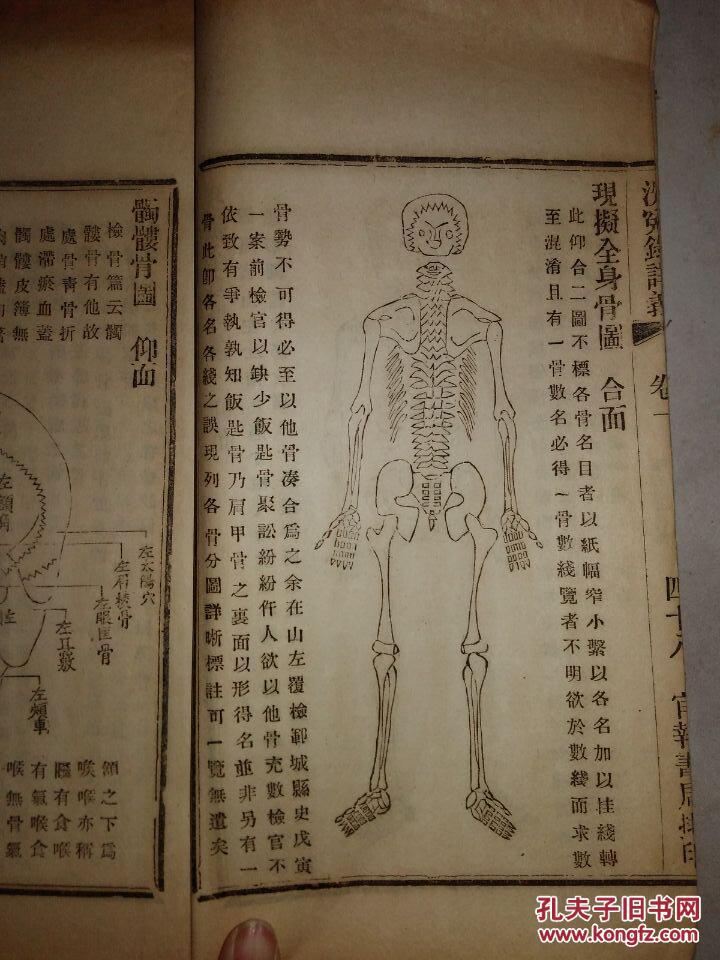 洗冤录简谱_儿歌简谱