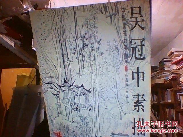中国素描经典画库 吴冠中素描集