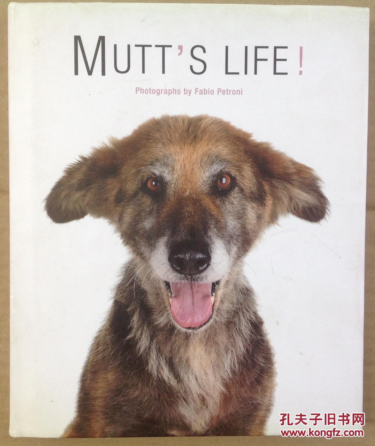 Mutt's Life!狗的摄影