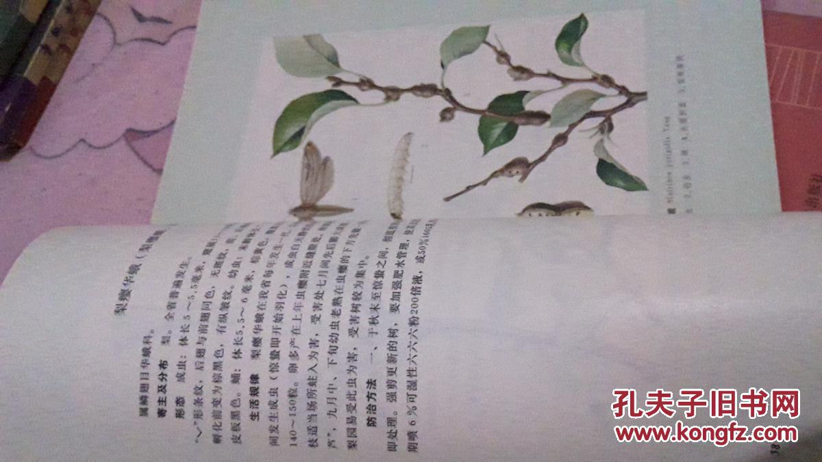 农林简谱_西北农林科技大学(2)