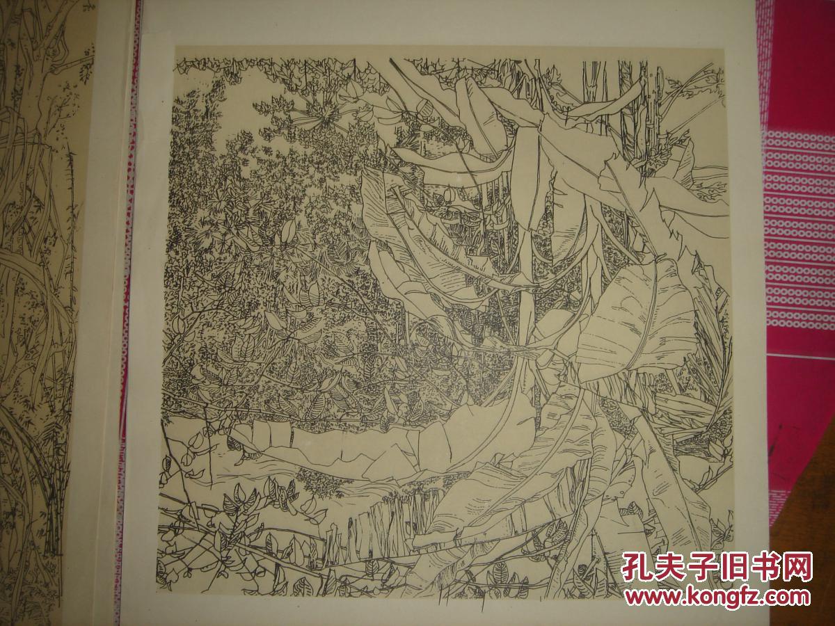 云南白描写生集,算封面10张_袁运生_孔夫子旧书网