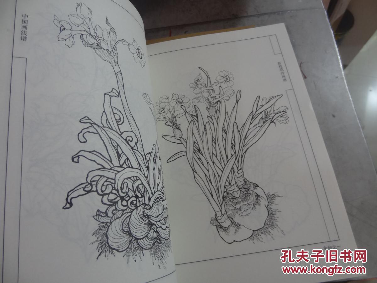 中国画线描:折枝花卉画谱