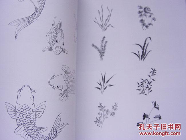 初学者之友工笔鲤鱼