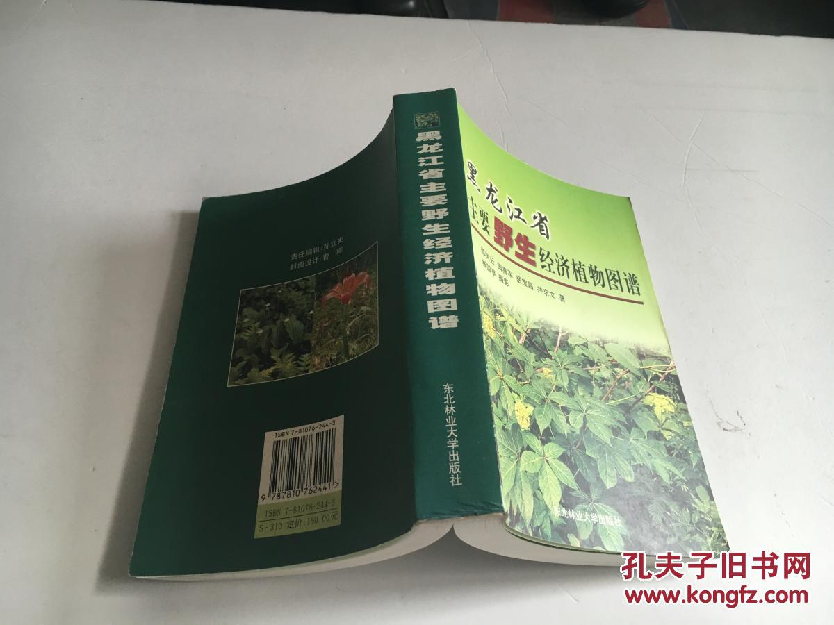 黑龙江省主要野生经济植物图谱(摄影杨国亭签