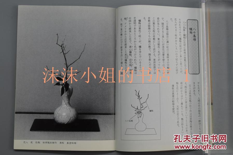轻轻地划钢琴曲谱