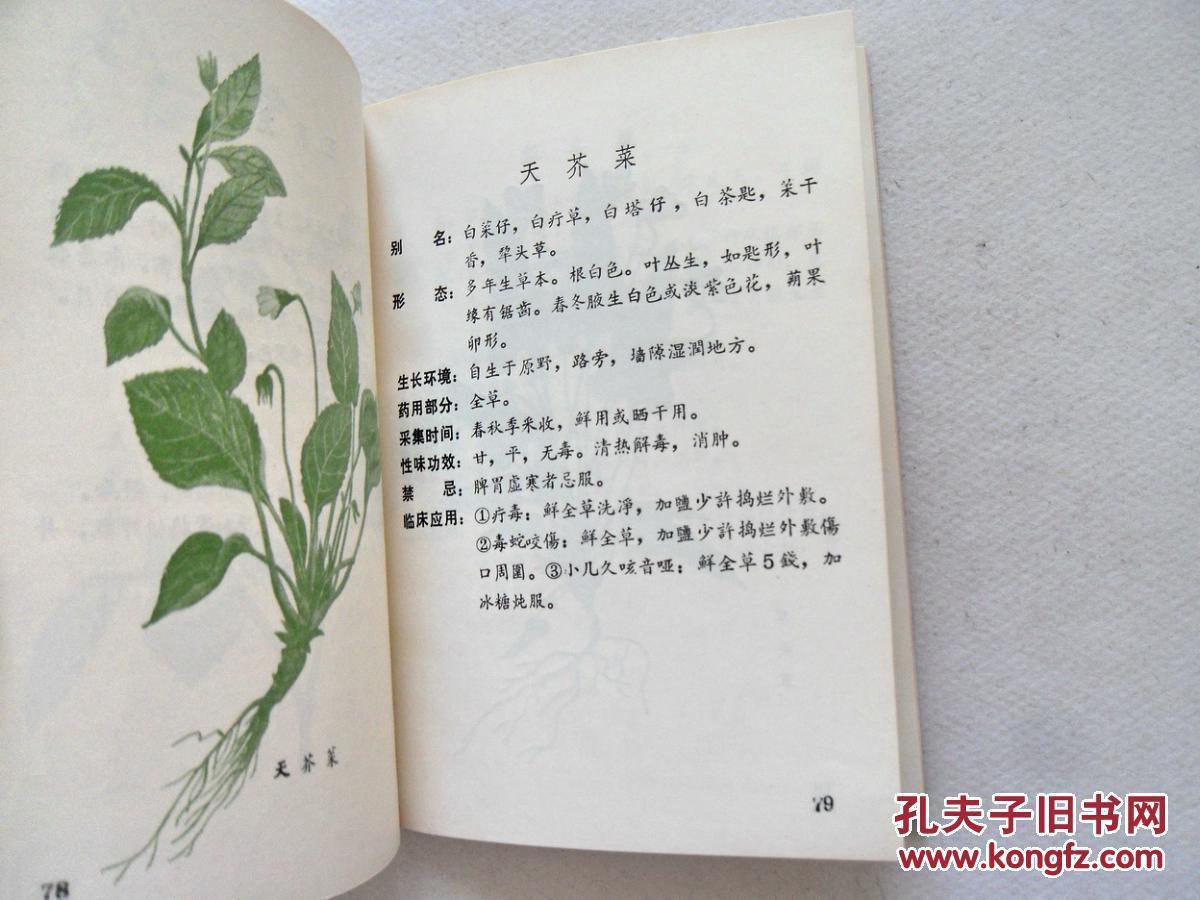 草药手册》收有60多种战备外伤中草药,每种药有彩图,后附许多民间验方