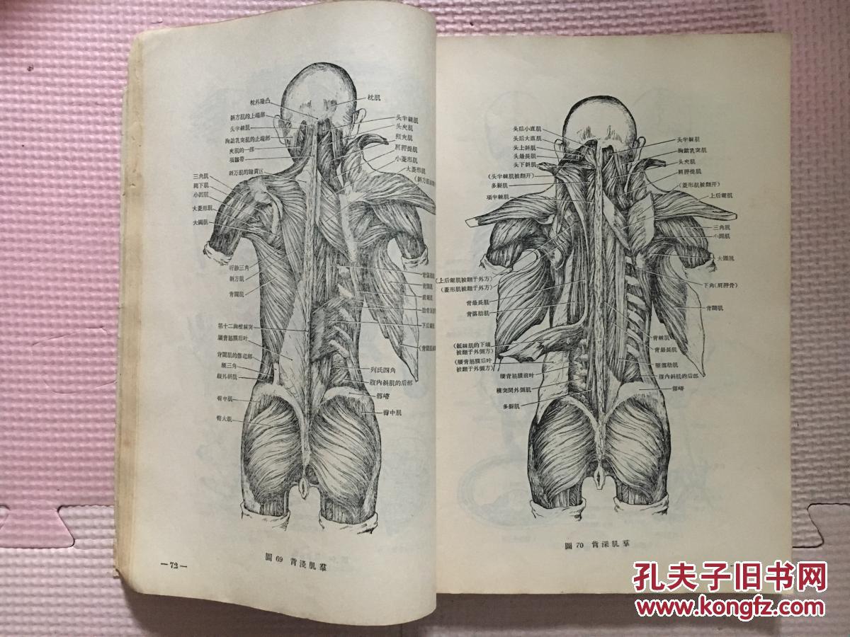 人体解剖学图谱
