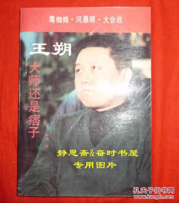 王朔:大师还是痞子_高波