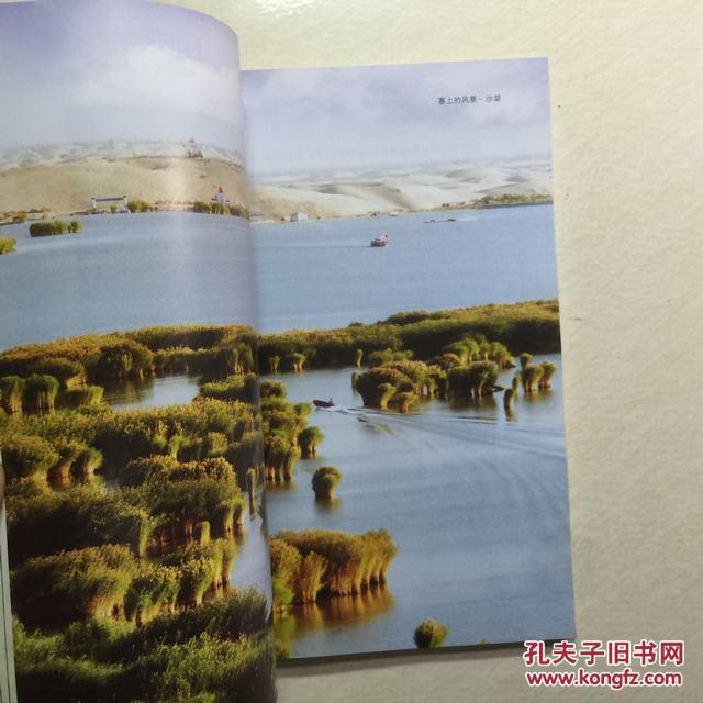宁夏自治区回族人口_宁夏回族人口分布