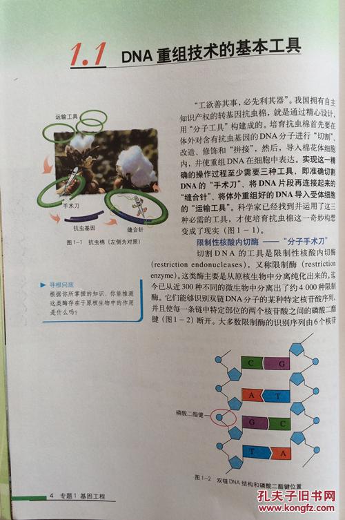 课本人民教育出版社高中生物选修三3教材高中生物教科书生物选修3课本