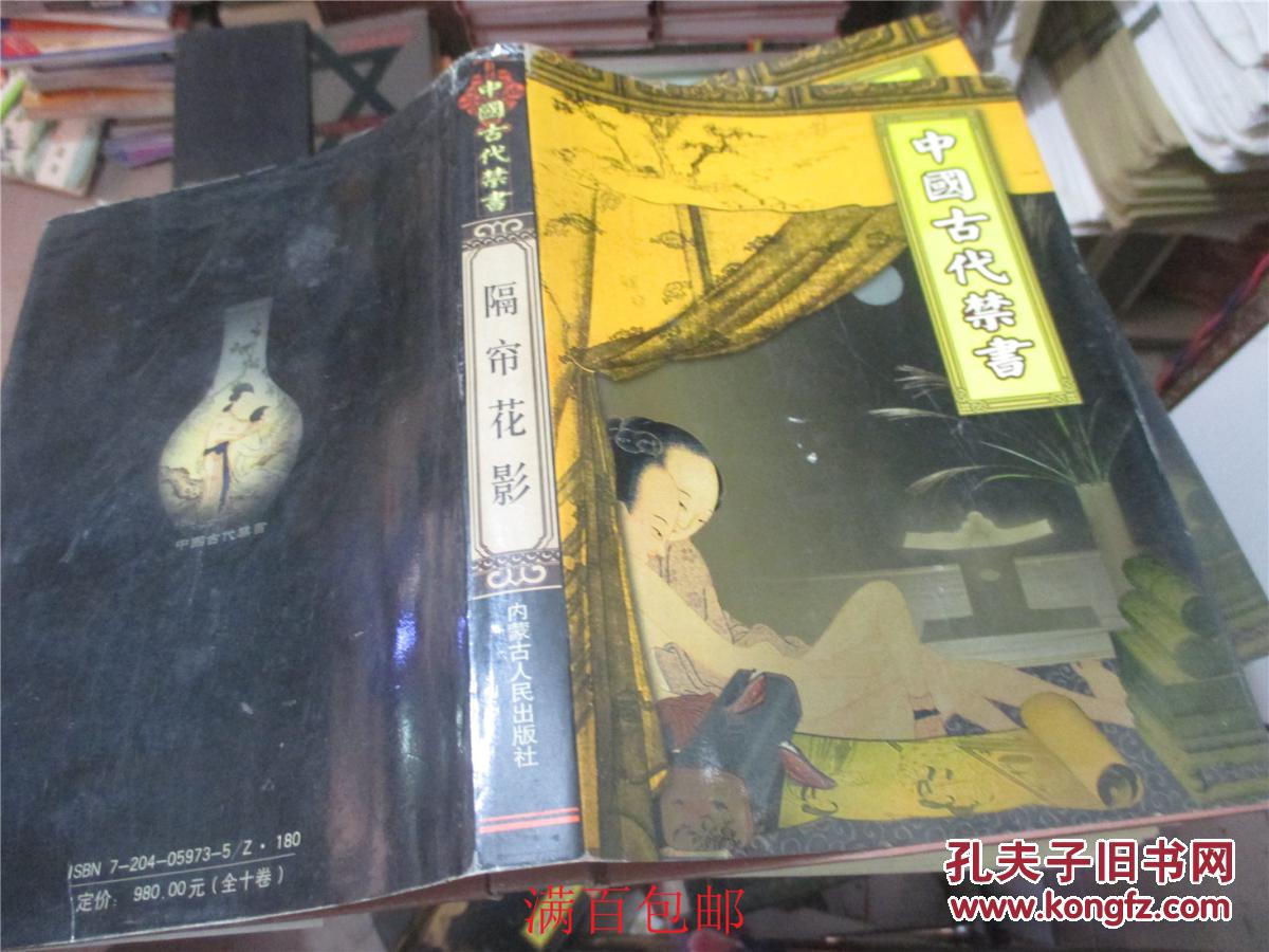 中国古代禁书隔窗花影精装本