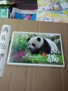 明信片——印象熊猫（下）【全12张】