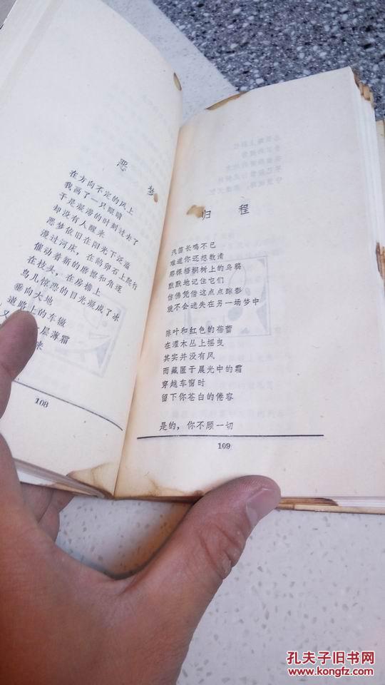 北岛诗选