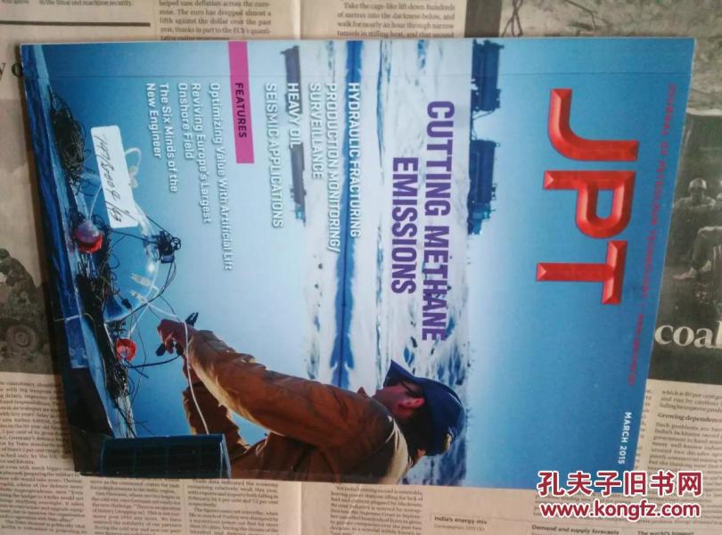 能源 行业杂志 外文期刊 期刊