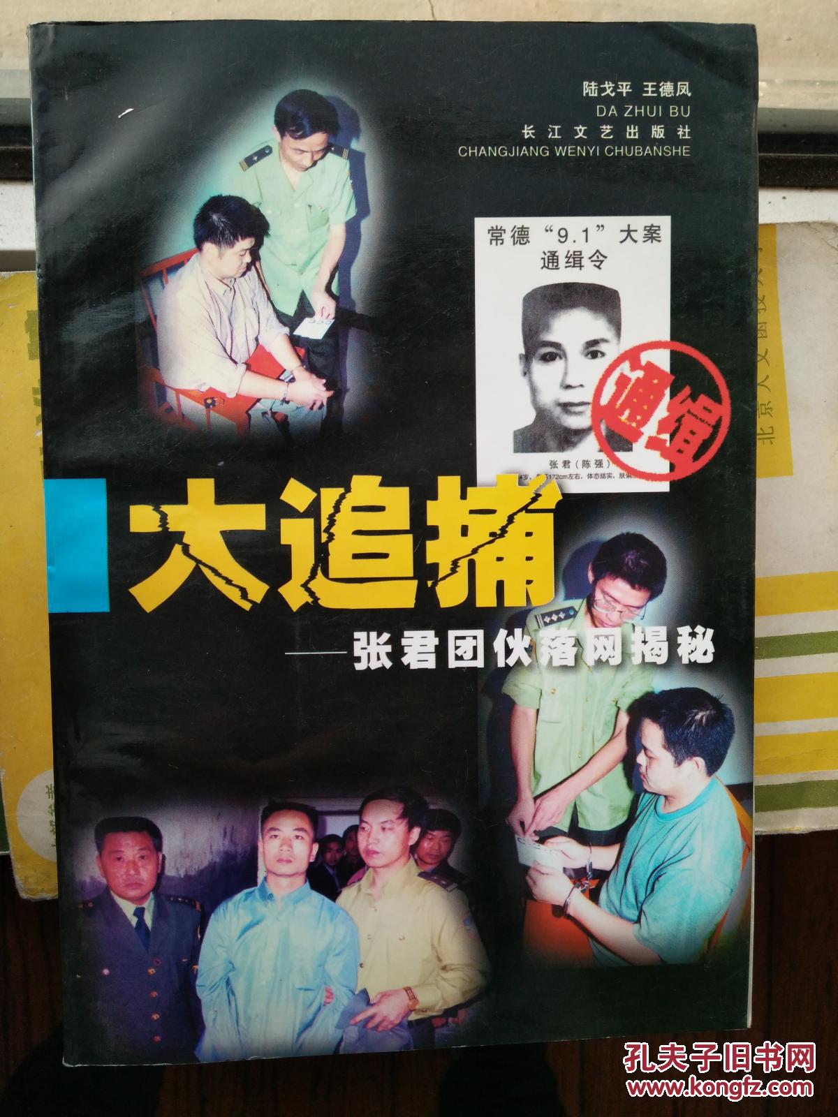 大追捕-张君团伙落网揭秘