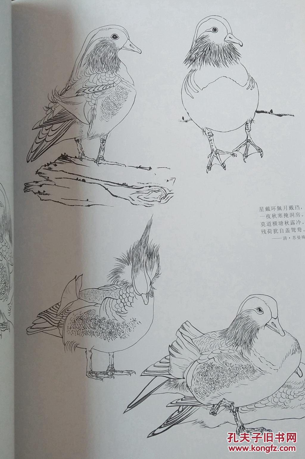 白描鸳鸯画法