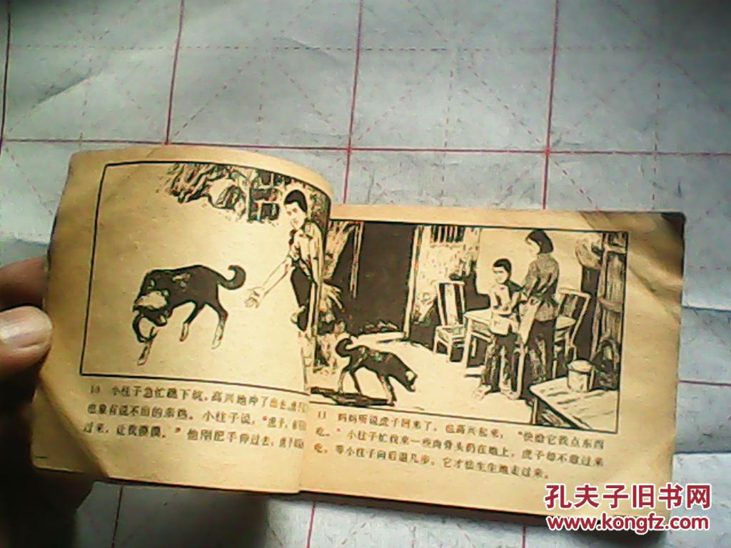 连环画:虎眼之谜