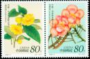 2002-3 珍稀花卉