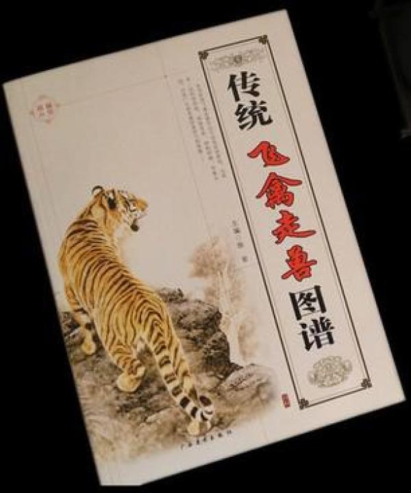 画老虎简谱_两只老虎简谱(3)