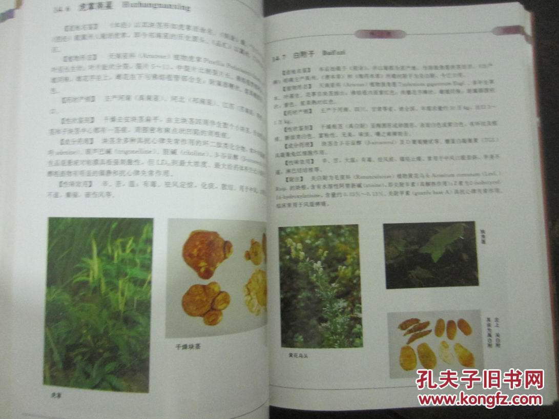 中国道地药材原色图说
