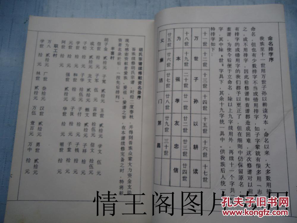 胡氏宗谱(安定堂·上下两册全)