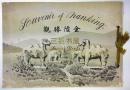 1910年初版《金陵胜观》/南京影集, 南京,金陵,老照片 / Souvenir of Nanking