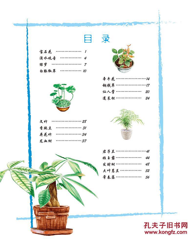 绘画技巧-植物 拿笔就画色铅笔技法从入门到精通 手绘