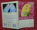 parakeets