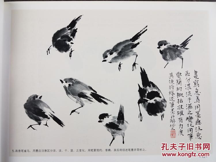 学国画:梅兰竹菊 国画雀鸟 国画水族技法普及教材写意