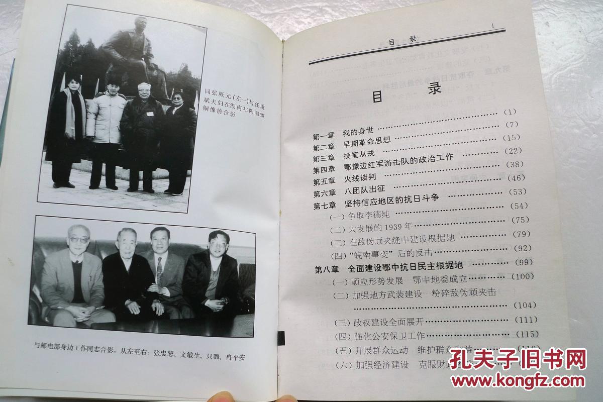文敏生回忆录