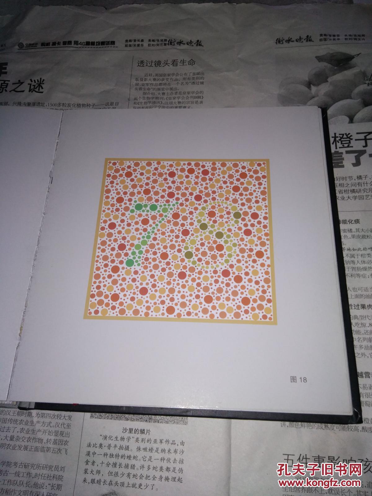 色觉检查图第2版