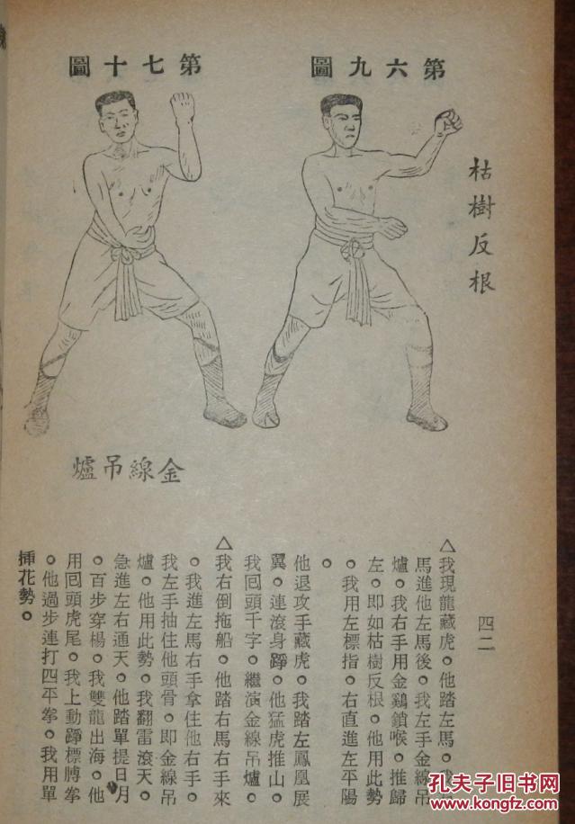 擒拿法与少林拳-附四平大镇拳法(八版).