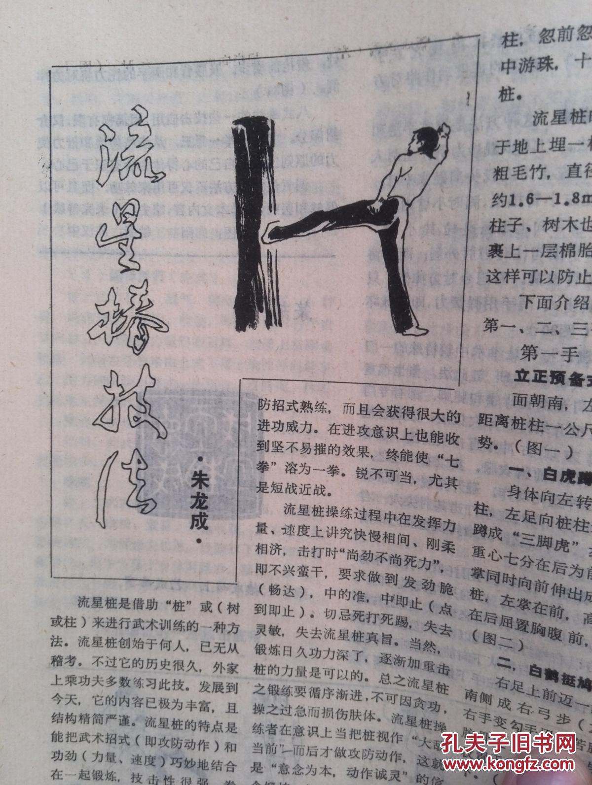 武术新星,武功,陈式太极拳的演变,内功经,五行通背拳,七星螳螂拳,流星