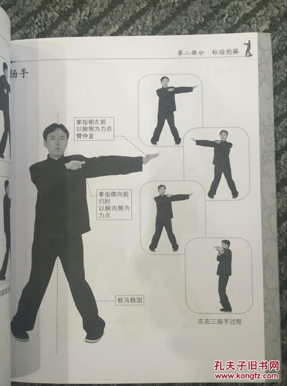 舒建臣咏春拳教学系列丛书