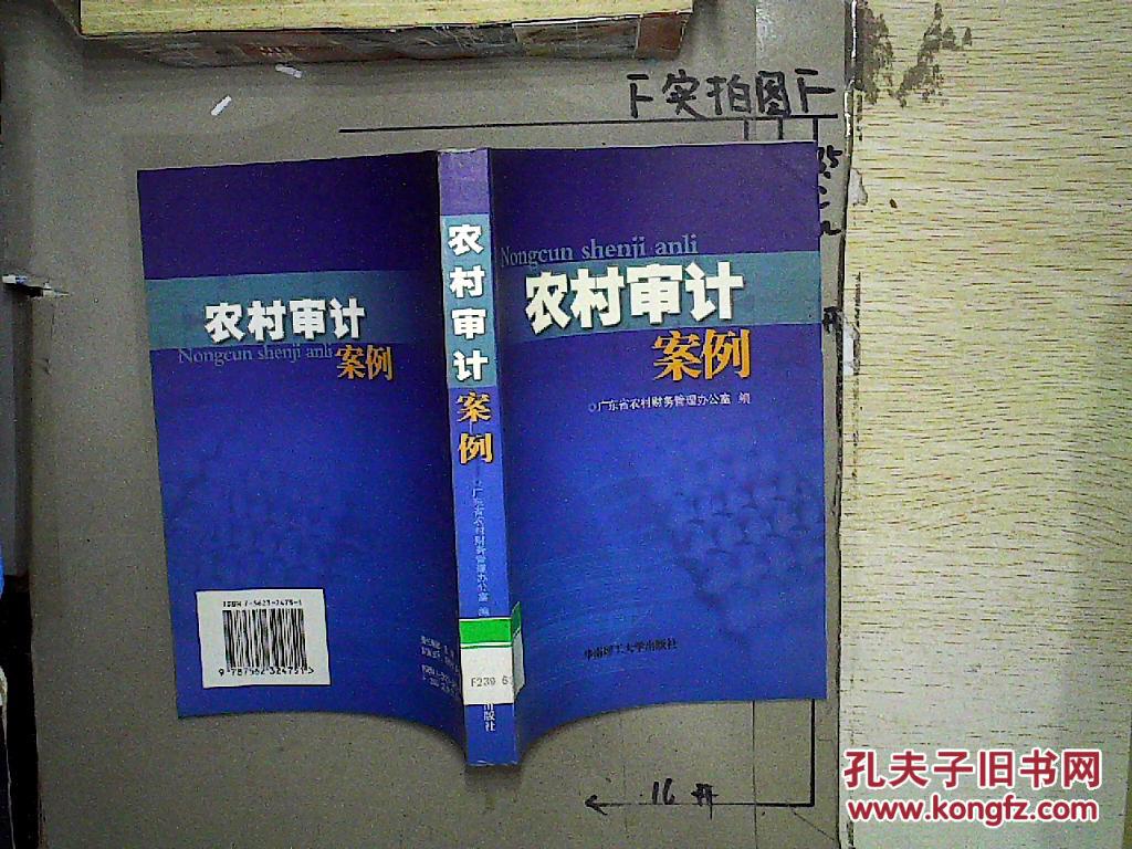 农村审计案例(馆藏)