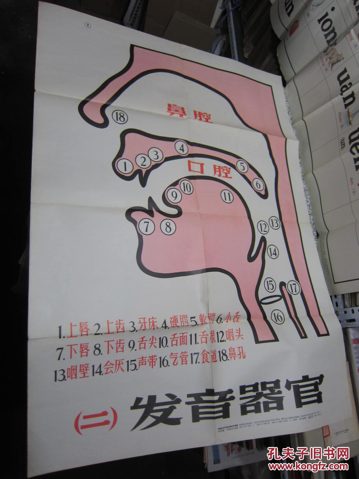 汉语拼音字母发音教学示意图 20张全套 1956年1版1印