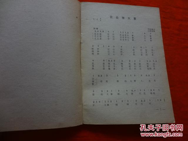 曲谱火红的太阳_火红的太阳图片
