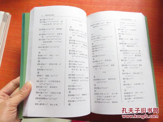 汉语土家语词典--土家族语言文化研究丛书